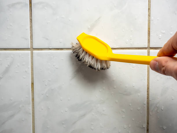 Best Emergency Mold Remediation in Primera, TX