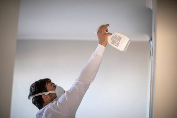 Best DIY Mold Remediation Support Services in Primera, TX