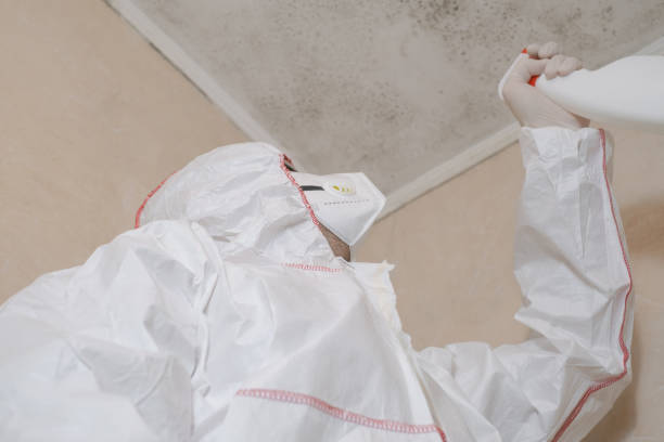 Best Kitchen Mold Remediation in Primera, TX