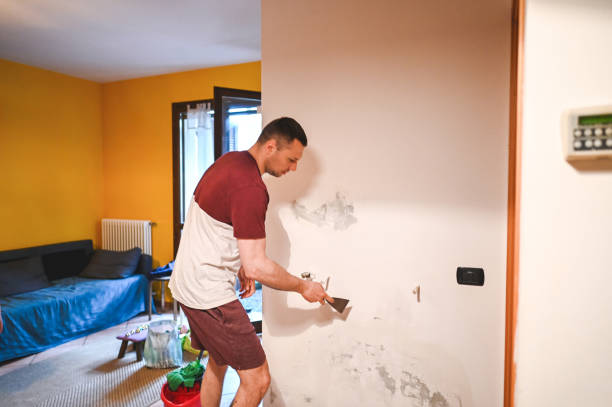 Best Residential Mold Remediation in Primera, TX